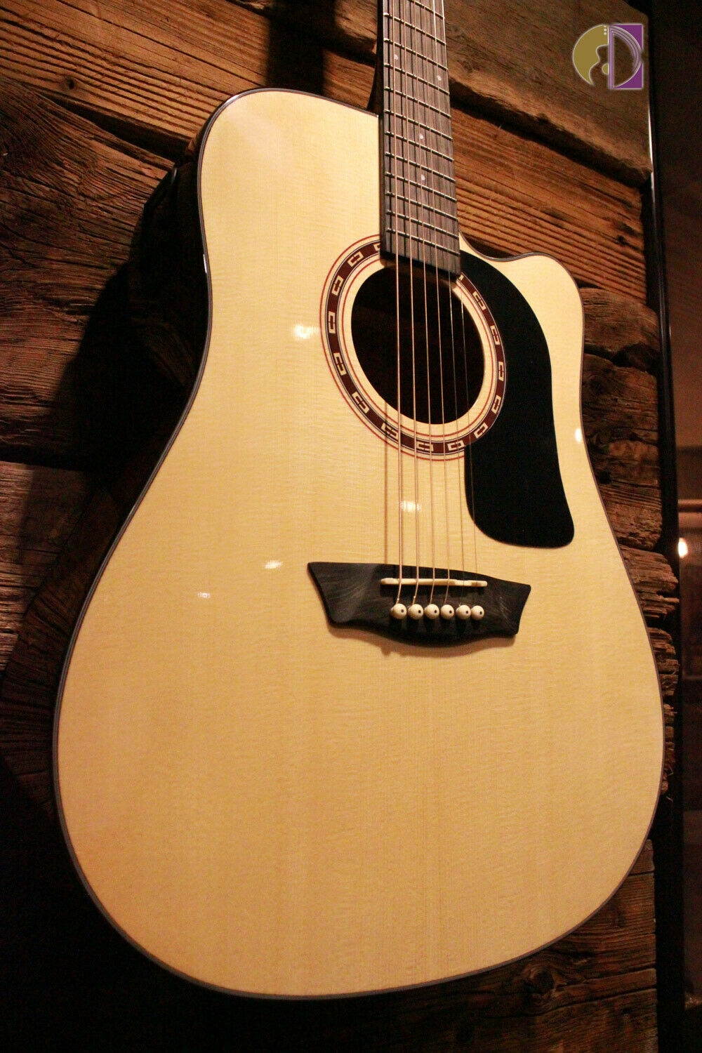 Washburn Apprentice D5CE Acoustic-Electric Guitar Starter Pack w/ Gig Bag