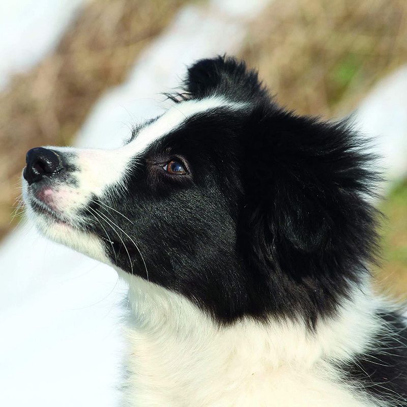 2021 The Everygirl Wall Calendar 15" x 12" Liam - Blue Sky