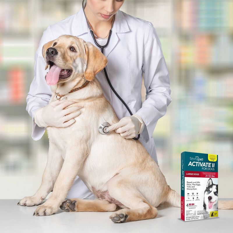 Tevra Pet Activate II Dog Insect Treatment - 21 to 55lbs - 4 Doses