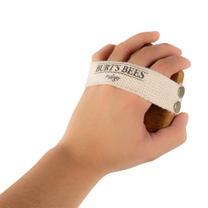 Burt's Bees Palm Bristle Brush