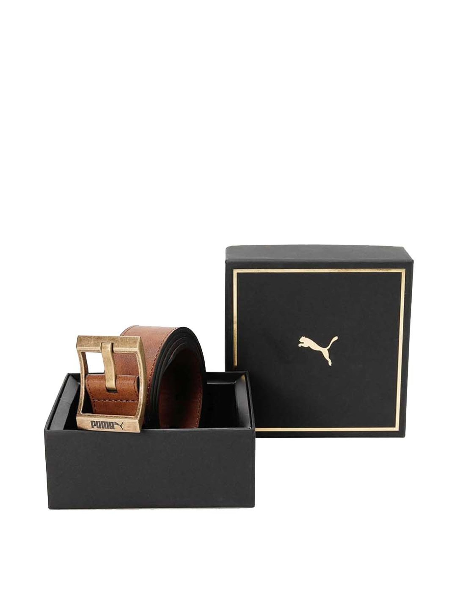 Fossil Griffin Brown Leather Casual Belt For Men