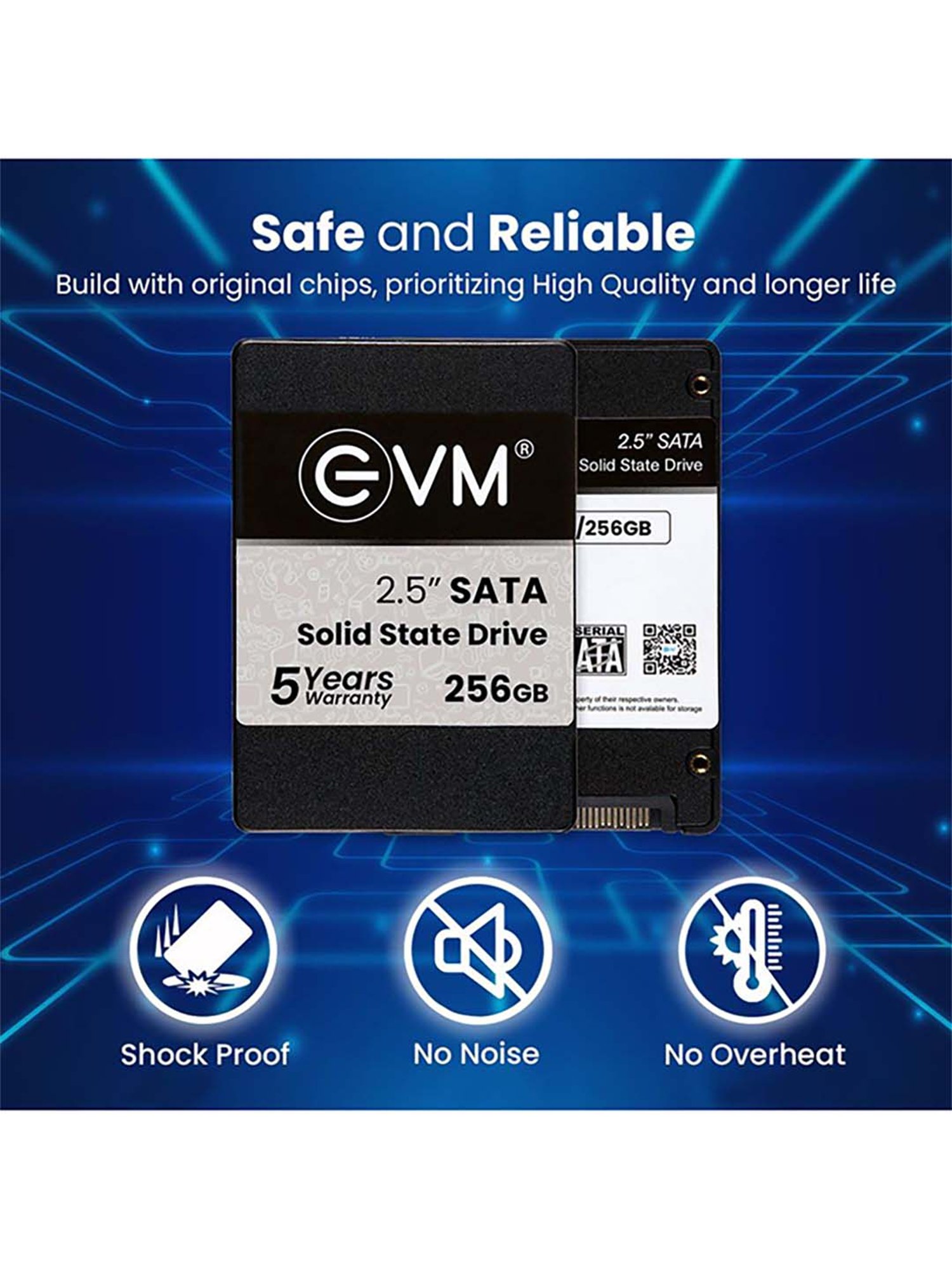 EVM EVM25 256GB 2.5 inch SATA Internal SSD (Black)
