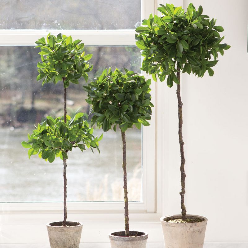 Plum & Post Ficus Topiary Faux (Fake) Potted 35"