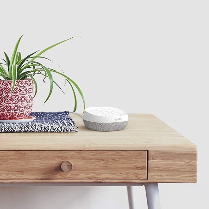 Home Security Motion Sensor (1 Pack)