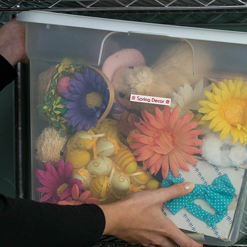 Genuine PTouch TZE232 Tape 12quot 047 mm Standard Laminated PTouch Tape Red on White Laminated for Indoor or Outdoor Use WaterResistant 262 ft 8m SinglePack