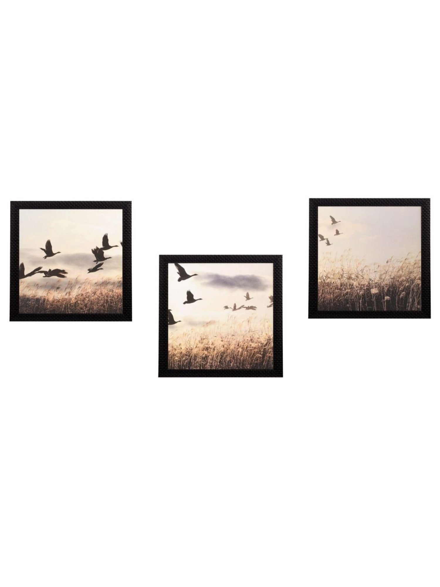 eCraftIndia Set Of 3 Flying Birds Scenery Satin Matt Texture UV Art Painting
