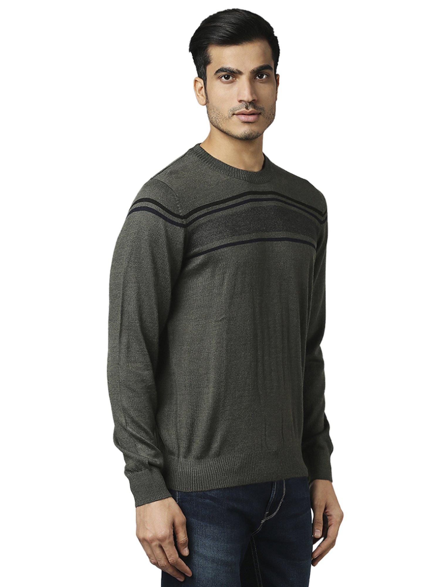Raymond Green  Regular Fit Striped Sweaters