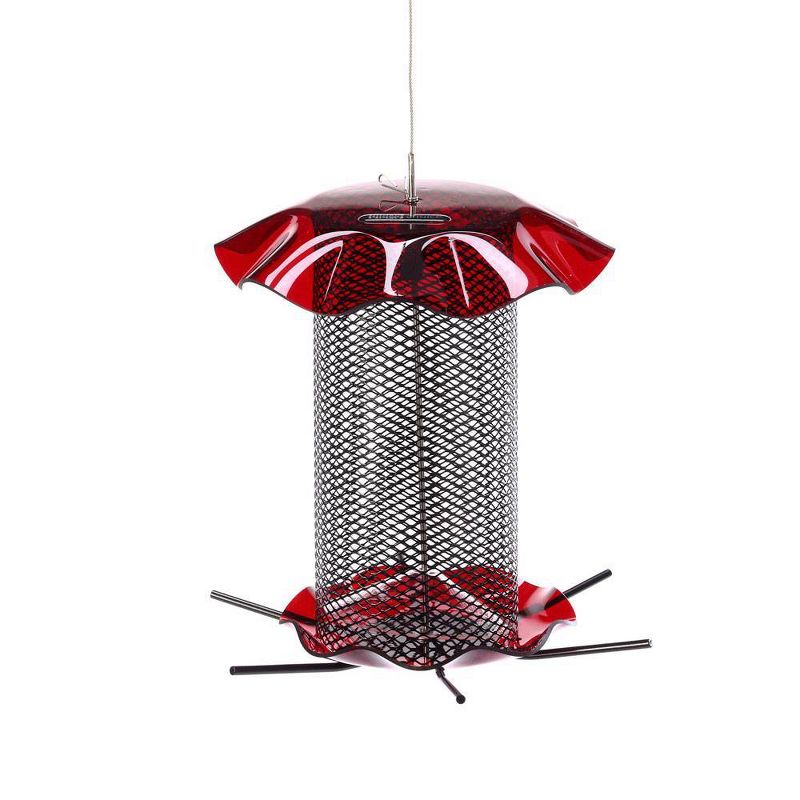 Birds Choice 3qt Safflower Forever Bird Feeder - Red