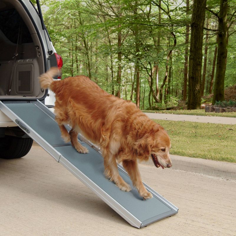 PetSafe Happy Ride Telescoping Dog Ramp - Gray