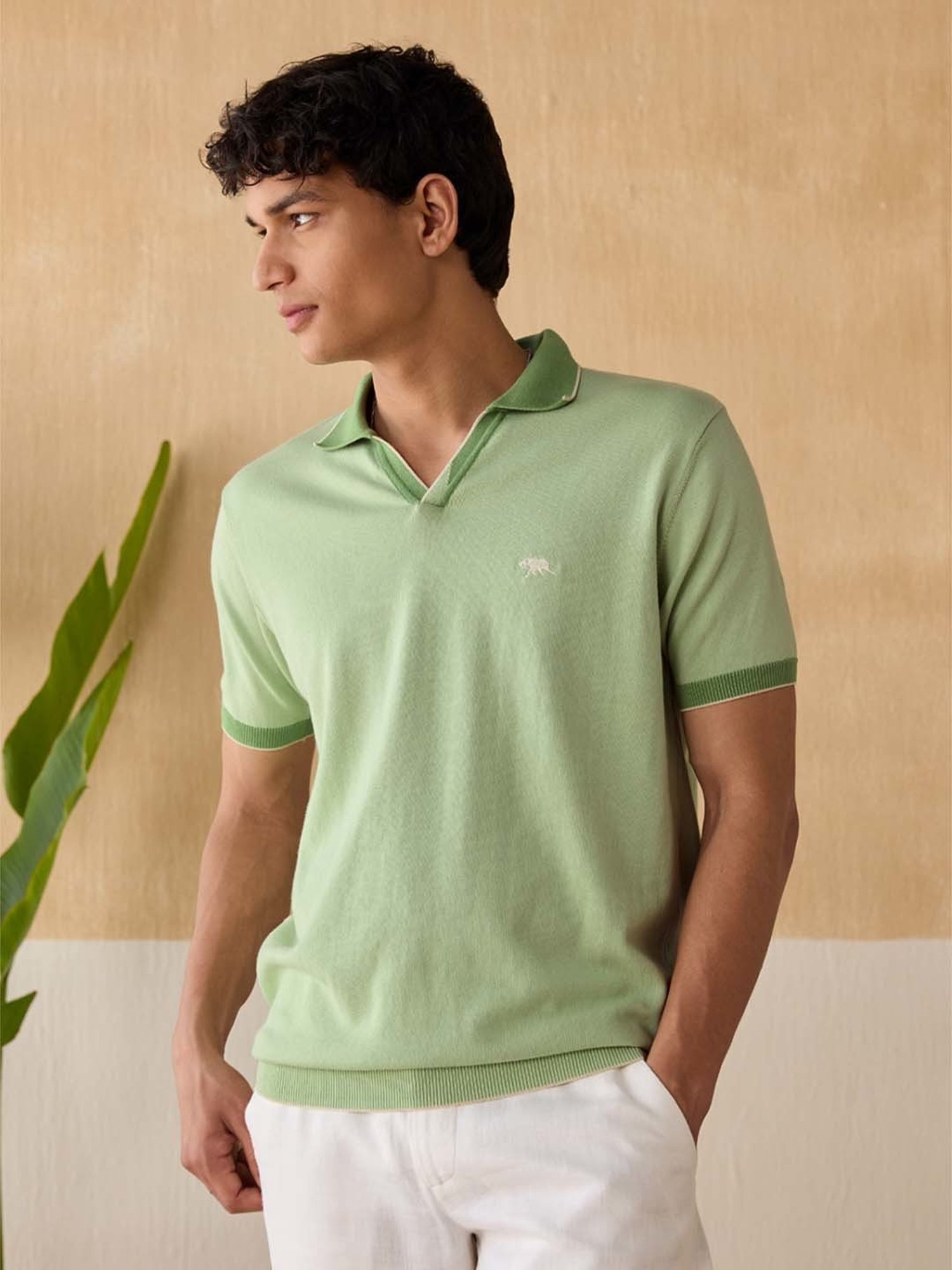 Andamen Green Cotton Regular Fit Polo T-Shirt