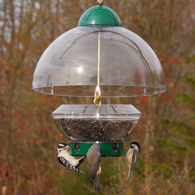 Droll Yankees Big Top Bird Feeder - Green