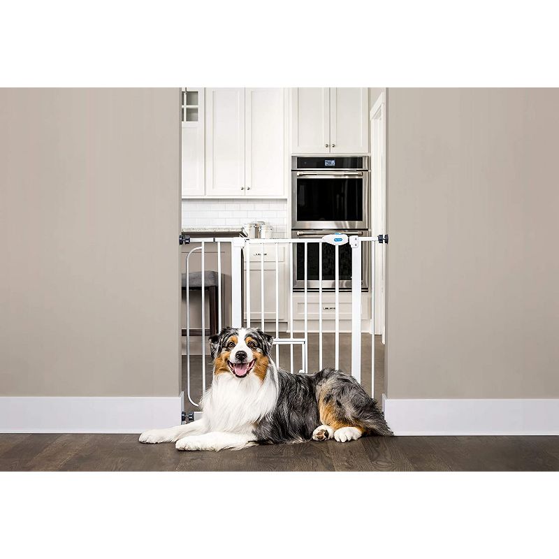 Carlson Pet Products 0930PW 36-Inch Extra Wide Pet Gate with Lift Handle and 8 x 8-Inch Small Pet Door