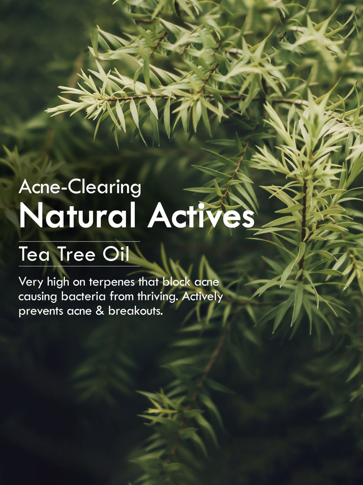 Nat Habit Tikta Bitter Neem Gel Face Wash - 100 gm