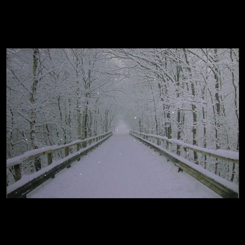 Northlight Large Fiber Optic Lighted Winter Wooden Bridge Canvas Wall Art 23.5" x 15.5"