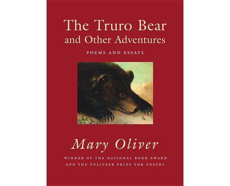 Haiku in English - by  Jim Kacian & Philip Rowland & Allan Burns (Paperback)