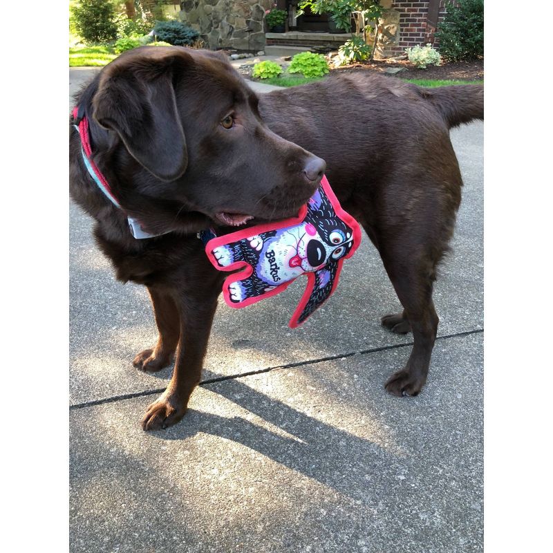 Fuzzu All Ears Barkus Dog Toy