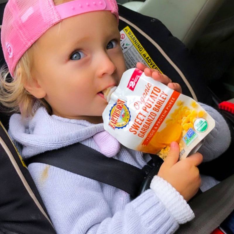 Earth's Best Organic Sweet Potato Garbanzo Barley Baby Food Pouch - 3.5oz