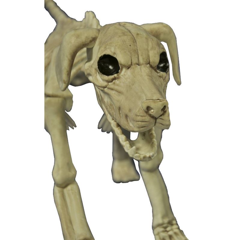 Halloween Beagle Bonez Decorative Holiday Scene Prop