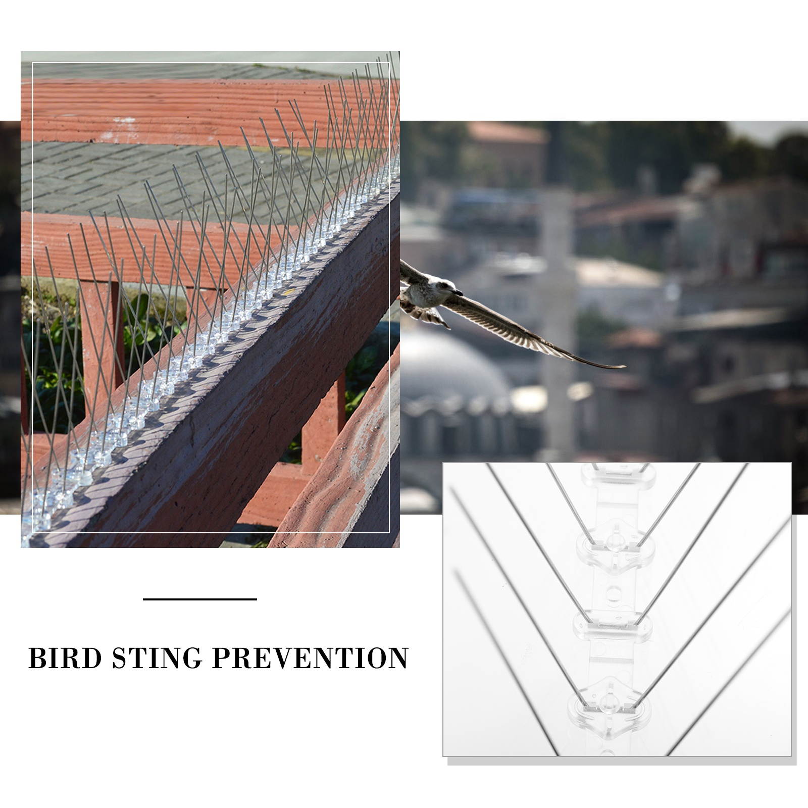 5pcs Durable Outdoor Stainless Steel Bird Repellent Strips Pigeon Spike Bird Spike