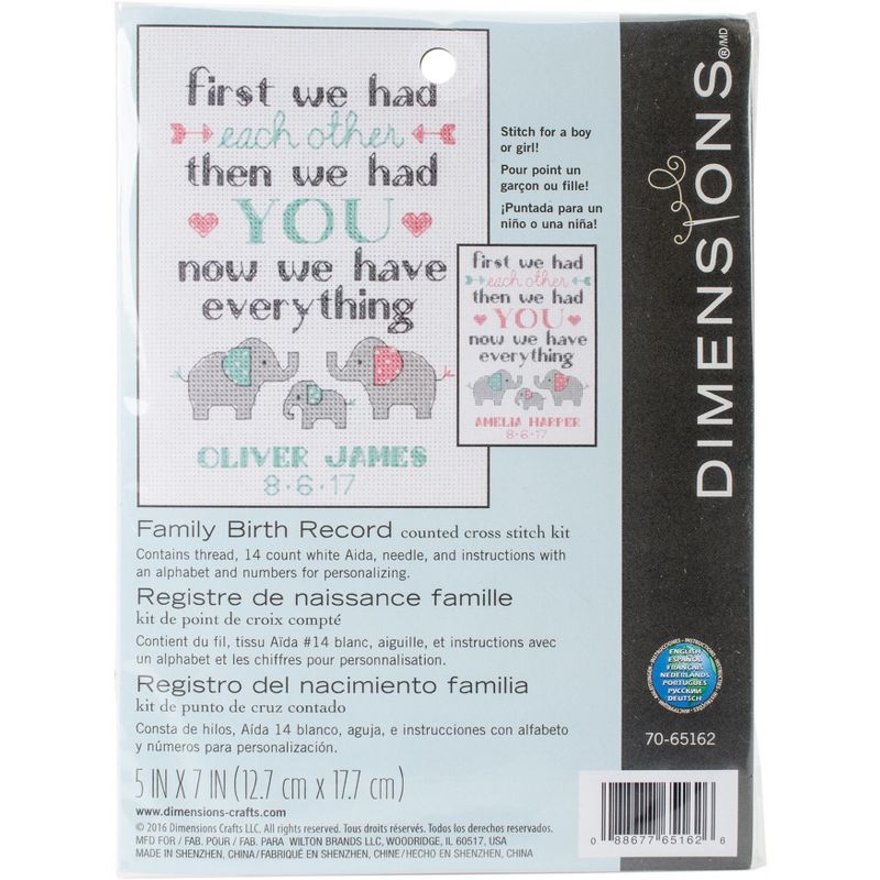 Dimensions Counted Cross Stitch Kit 5"X7"-Family Birth Record (14 Count)