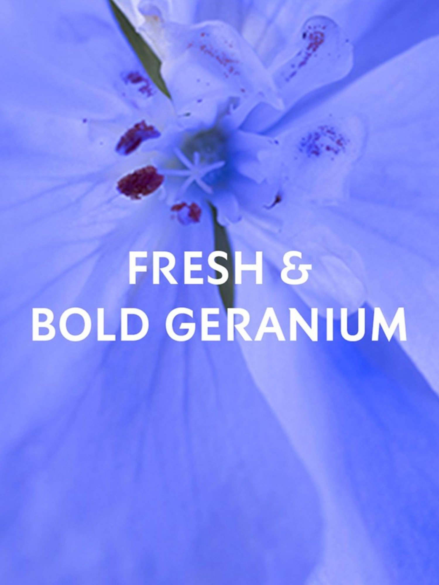 Yves Saint Laurent Y Le Parfum - 60 ml