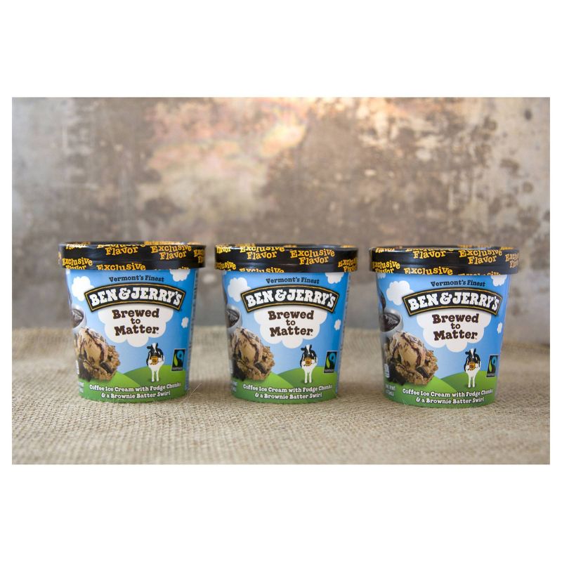 Ben & Jerry's Brewed to Matter Ice Cream - 16oz