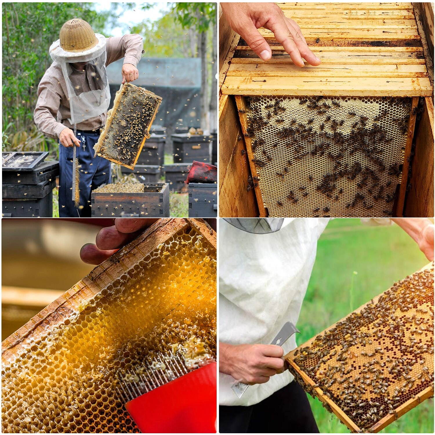 9-Piece Beekeeping Tool Kit Bee Rearing Equipment Includes 1 Bee Repellent Tool 1 Bee Hive Frame Grip 1 Brush 1 Water Feeder