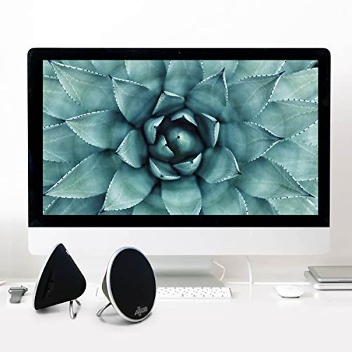 AXESS SPBP4401 Mono Wireless Bluetooth Cone Speaker with Pairing Capabilities, 2 Pack in Black