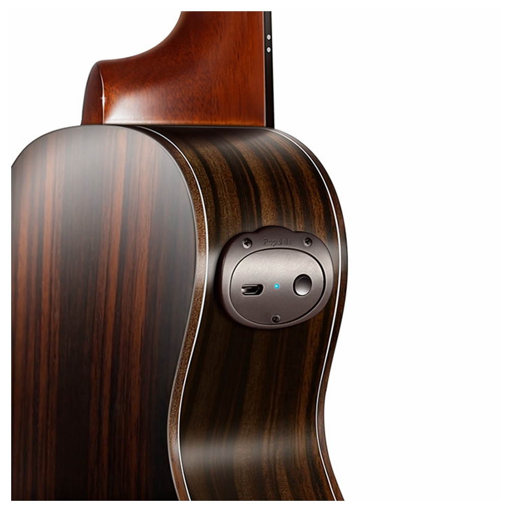 La Bella 850B Elite Black Nylon, Golden Alloy Classical Guitar Strings, 28-41