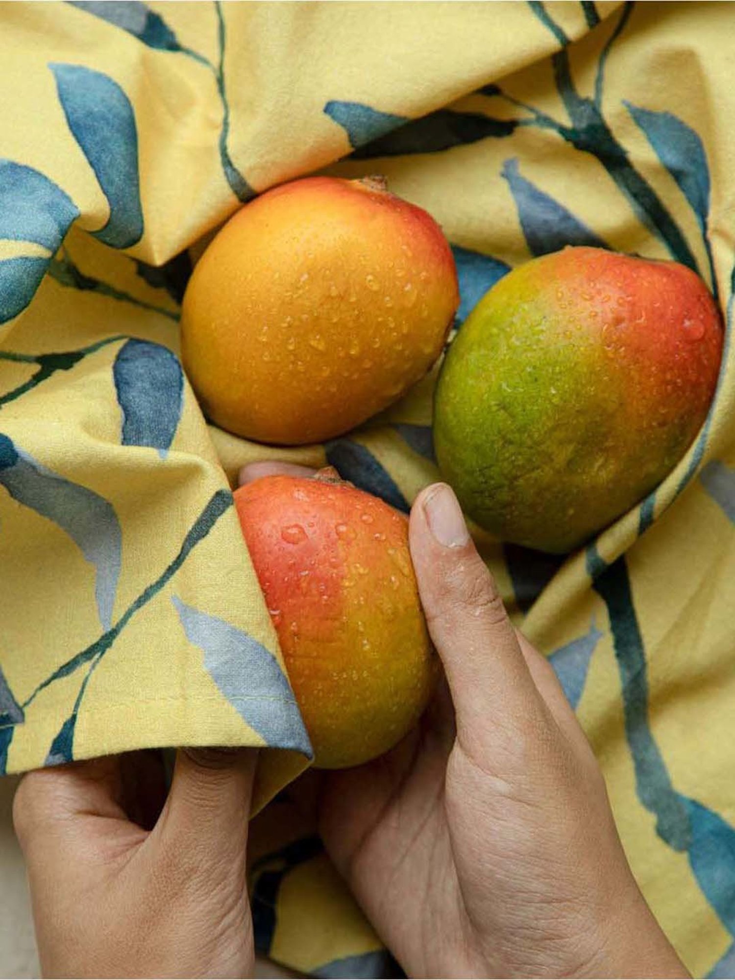 20" White Napkin with Red and Green Tassels Set of 4 pc White - SARO Lifestyle