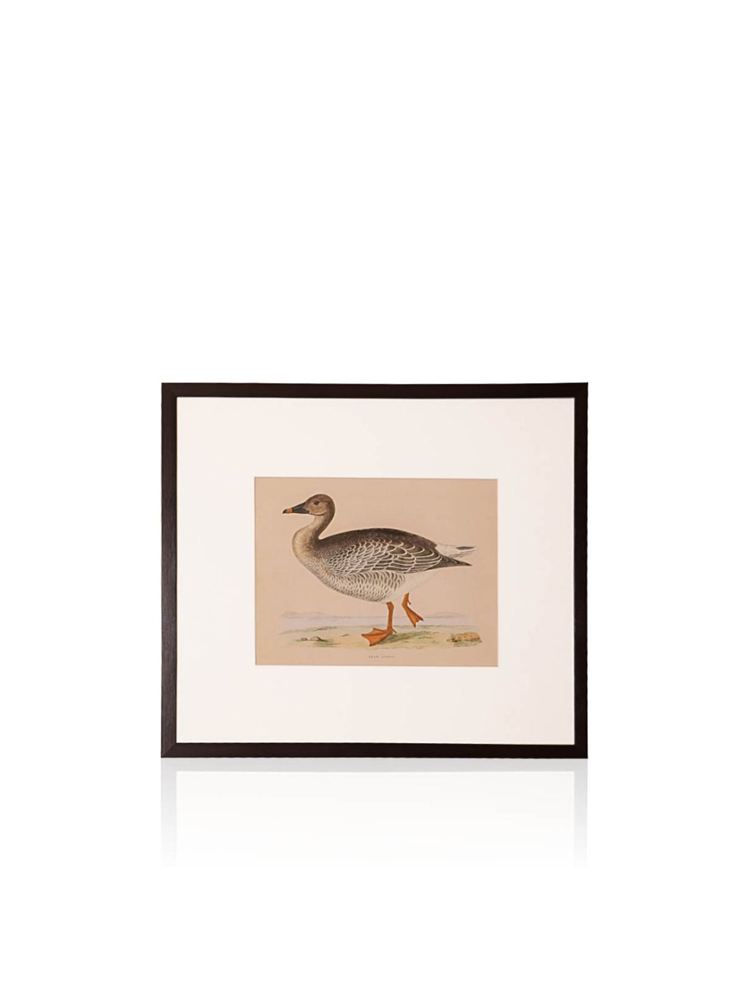 Home4U Cfo140069 Multicolor Ceramic Wall Art