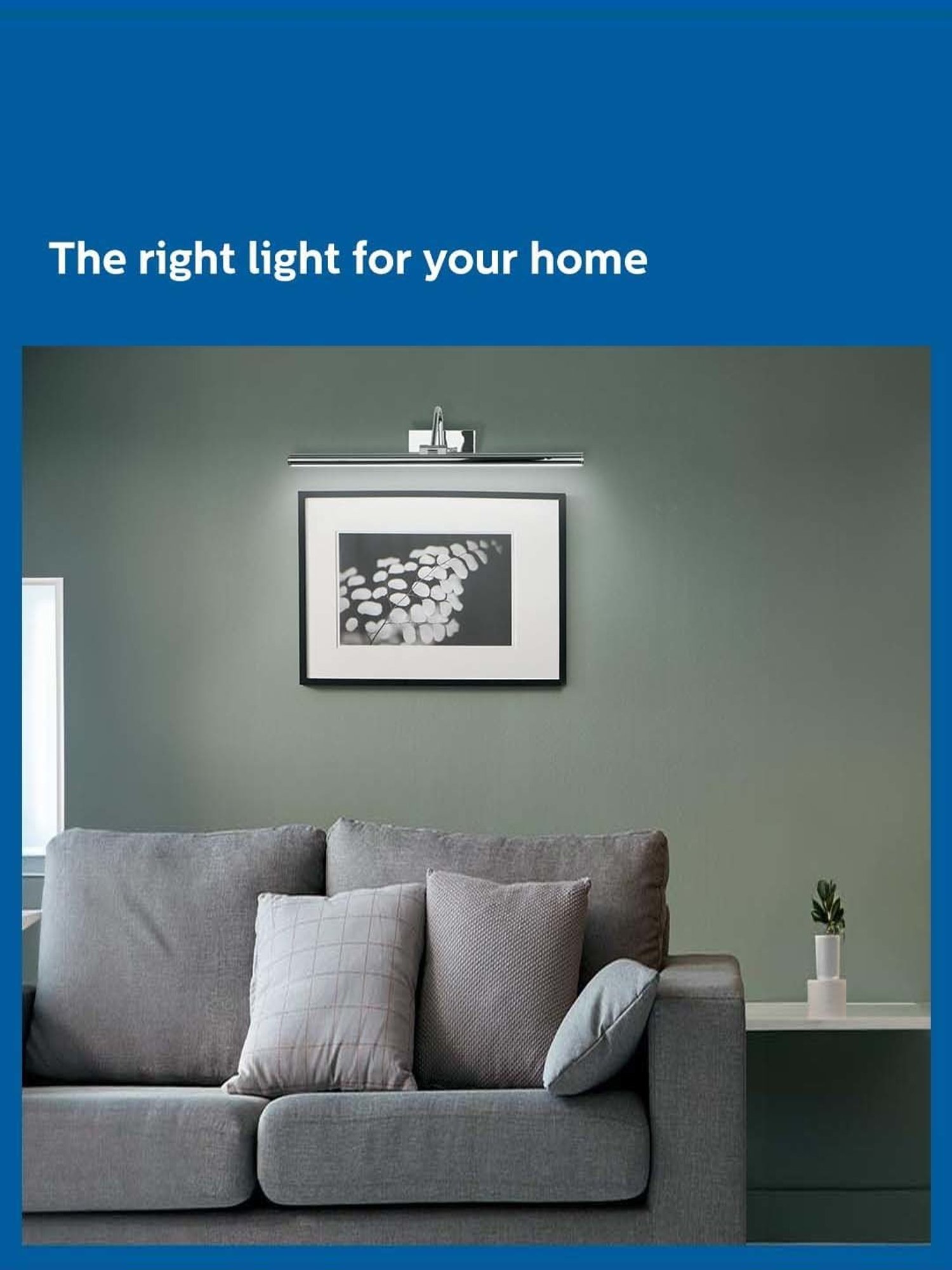 Philips 7W Picture Light for Display (Warm White, Pack of 1)