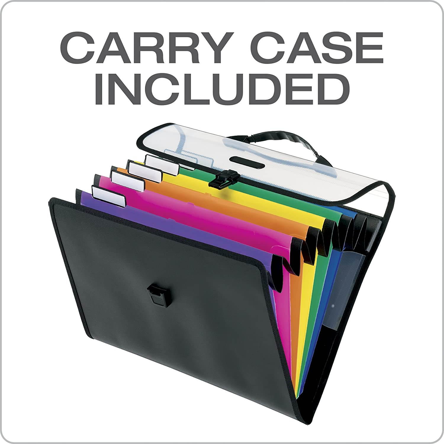 Pendaflex Hanging Organizer, All-in-1 Wall Organizer/Pocket Chart, Black with Bright Color Folders, Poly Carry Case, Letter Size (52891)