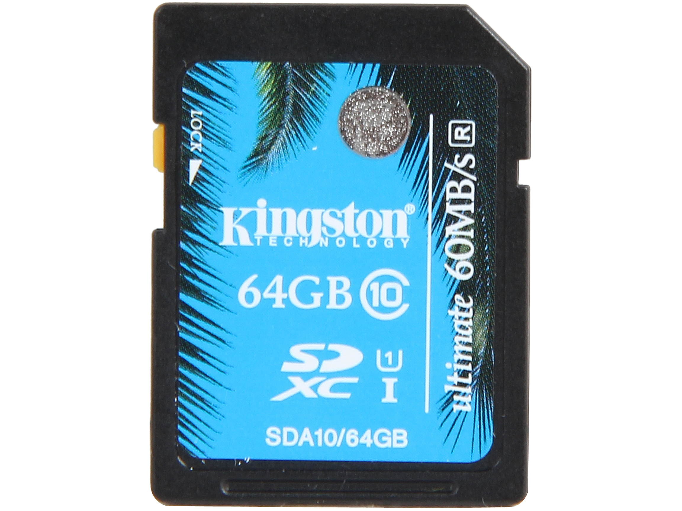 Kingston 16GB microSDHC Flash Card Model SDC10/16GB