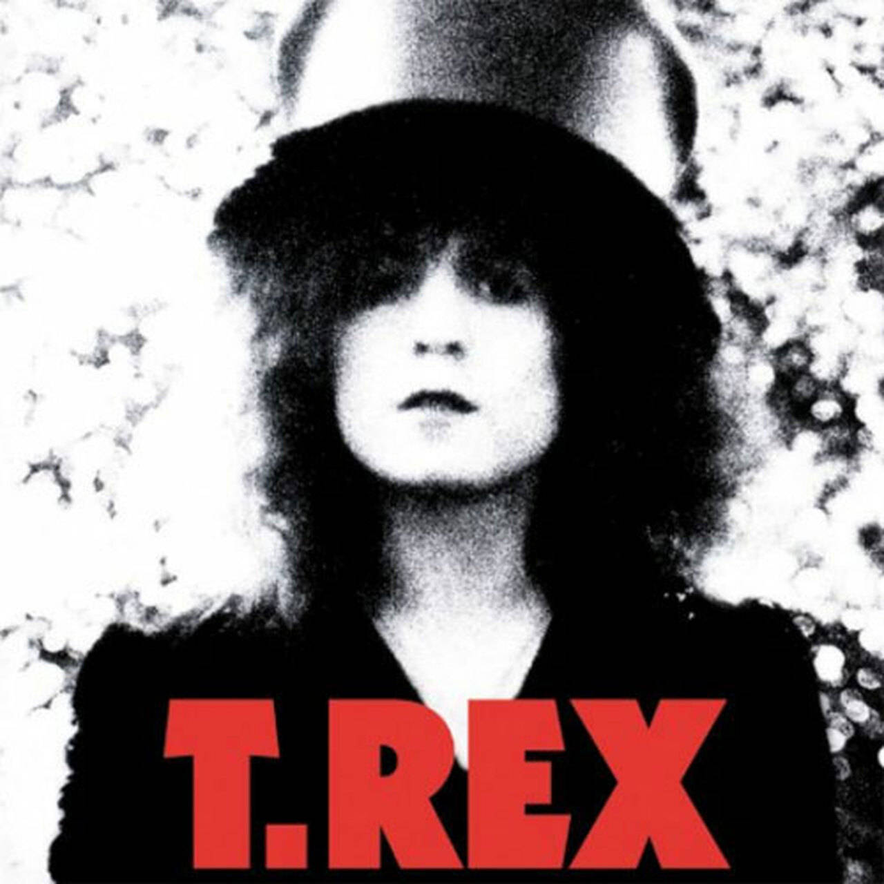 T.Rex The Slider Deluxe Edition180g Import 2LP (Vinyl)