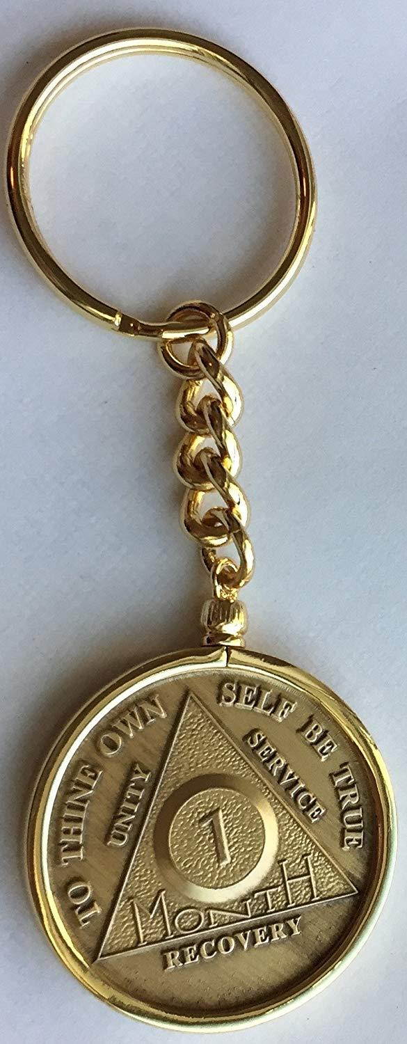 Wendells 1 Month 30 Day AA Sobriety Chip In Removable Gold Plated Keychain Holder