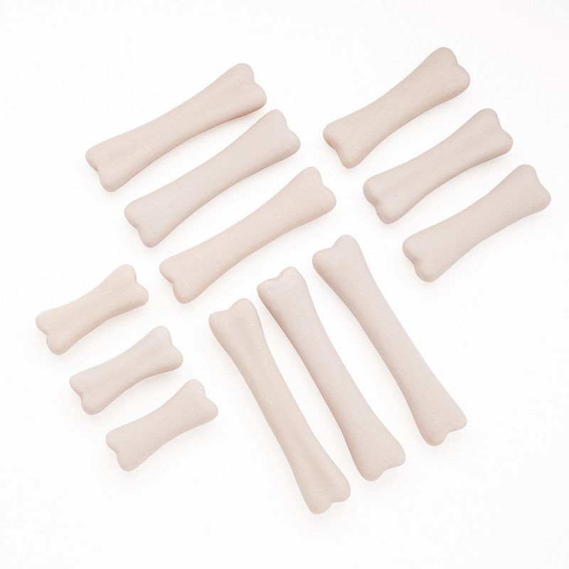 Yellow Door Dinosaur Bones Discovery Set