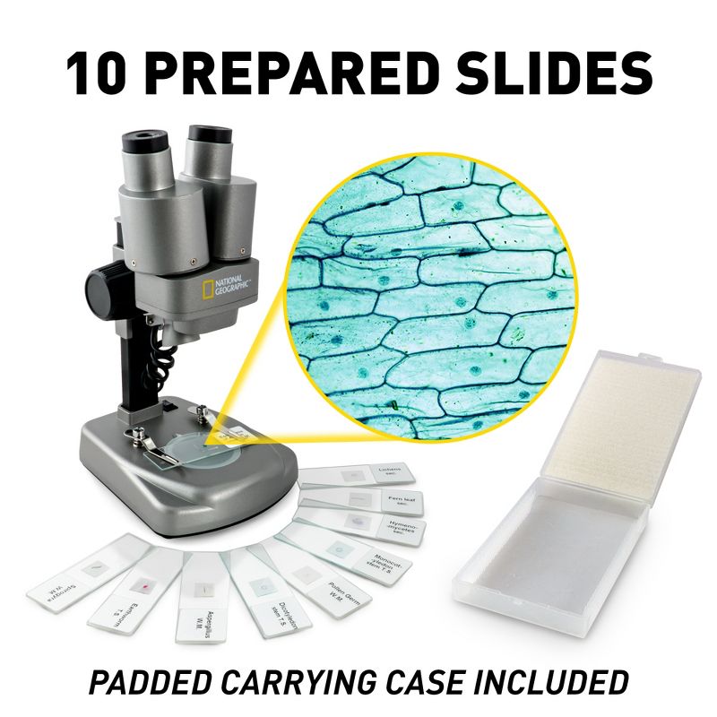 Teacher Created Resources Power Pen Learning Cards, Division, Grades 3 to 5