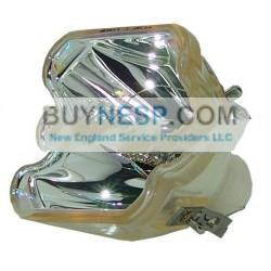Genuine AL 6103323855 Lamp & Housing w 6 Month Warranty