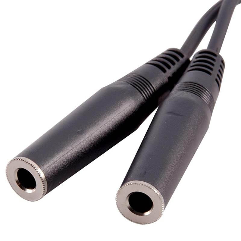 6 Inch Male to Dual 1/4 Inch Female Mono Y Splitter Cable (SA-Y9)