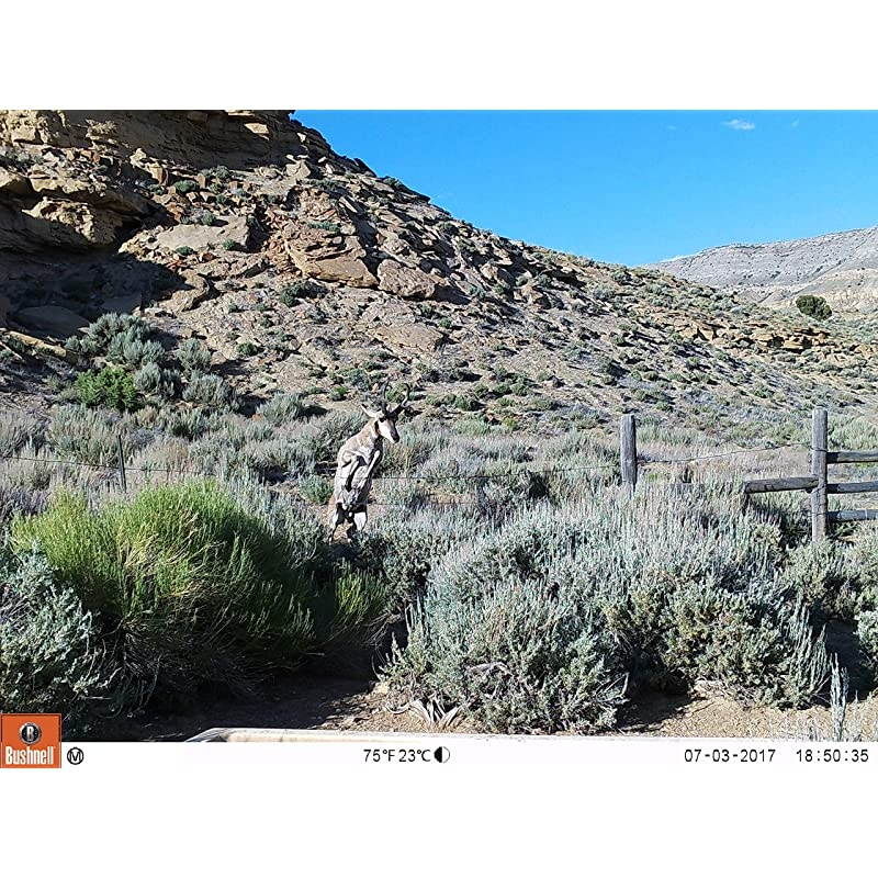 Trophy Cam Trail Camera, Brown