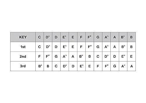 Suzuki Promaster Hammond Harmonica C