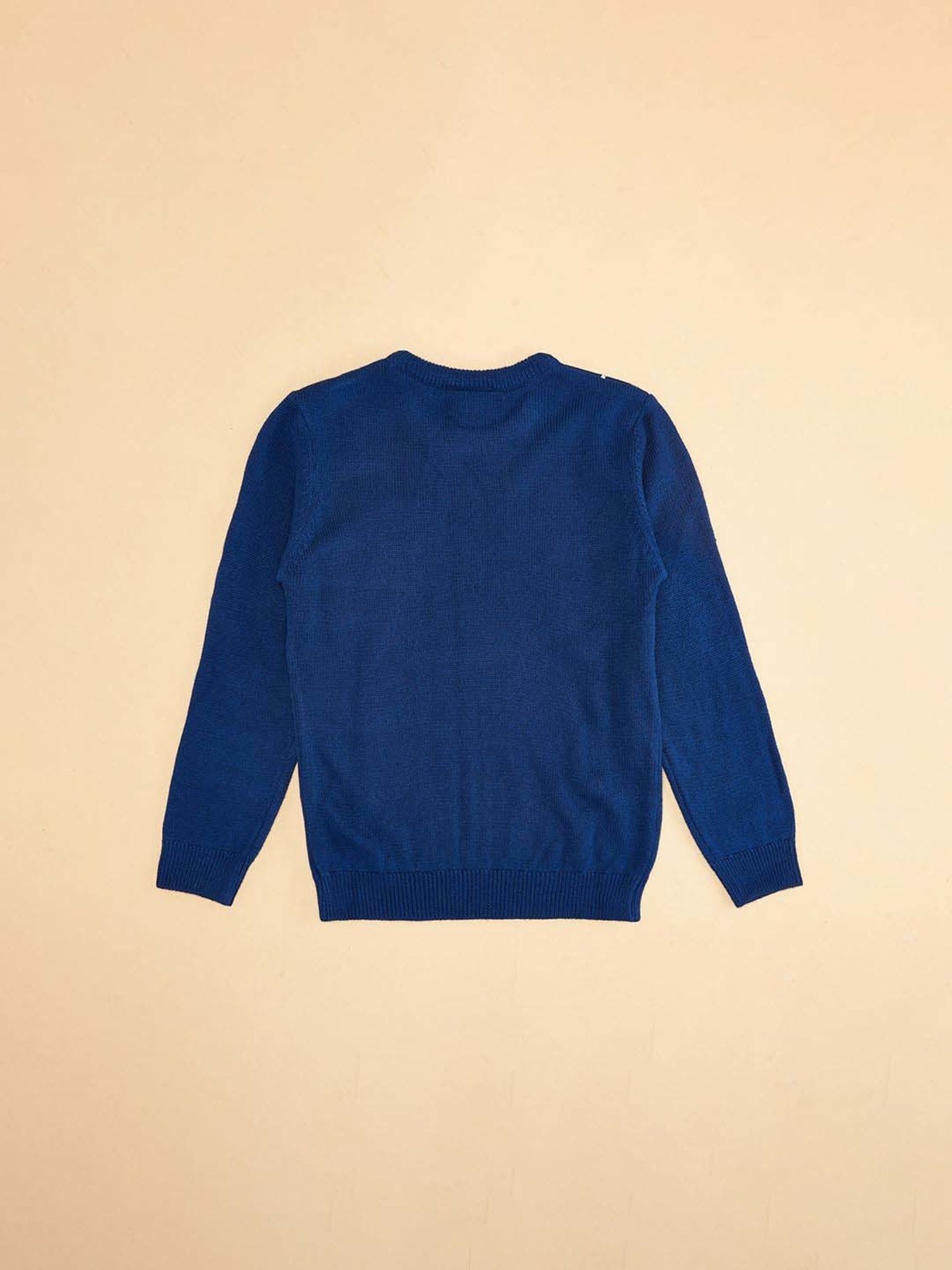 Pantaloons Junior Blue Printed Full Sleeves Sweater