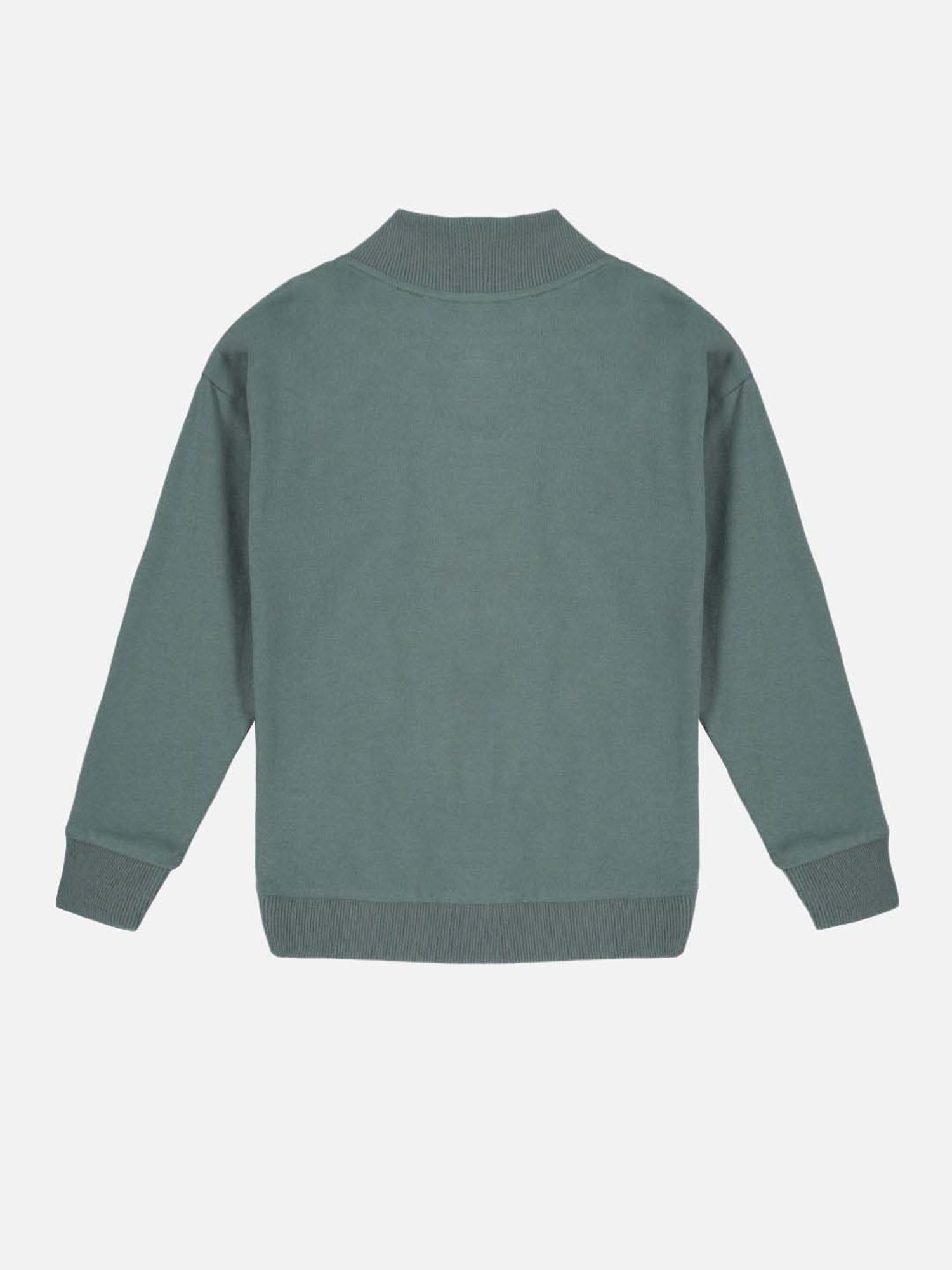 Allen Solly Junior Orange Cotton Regular Fit Full Sleeves Sweatshirt