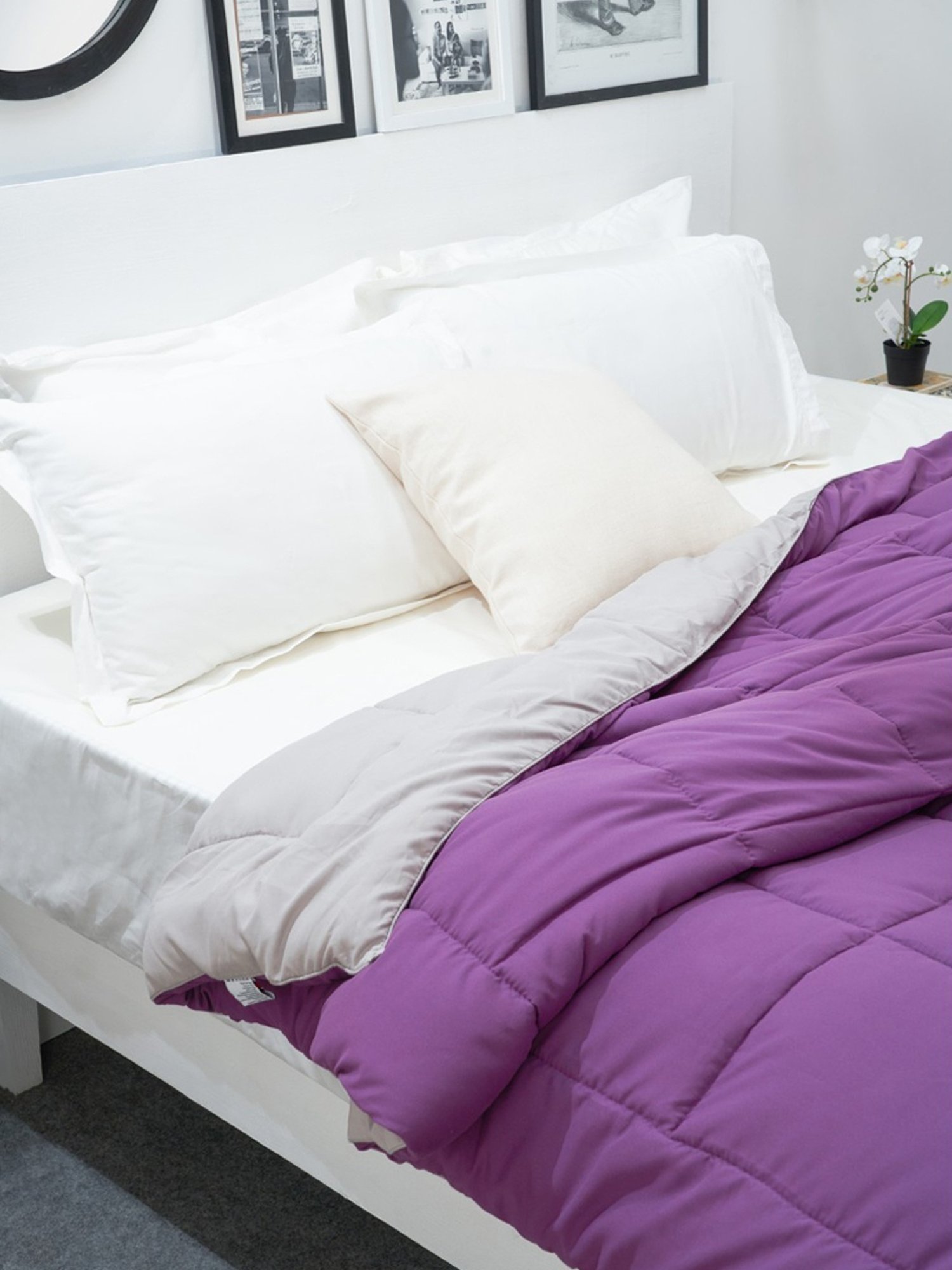 Spaces Silkysoy Solid Violet & Gray 90 GSM Microfibre Single Bed Quilt