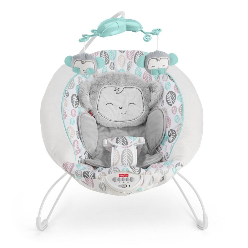 ​Fisher-Price Baby Bouncer