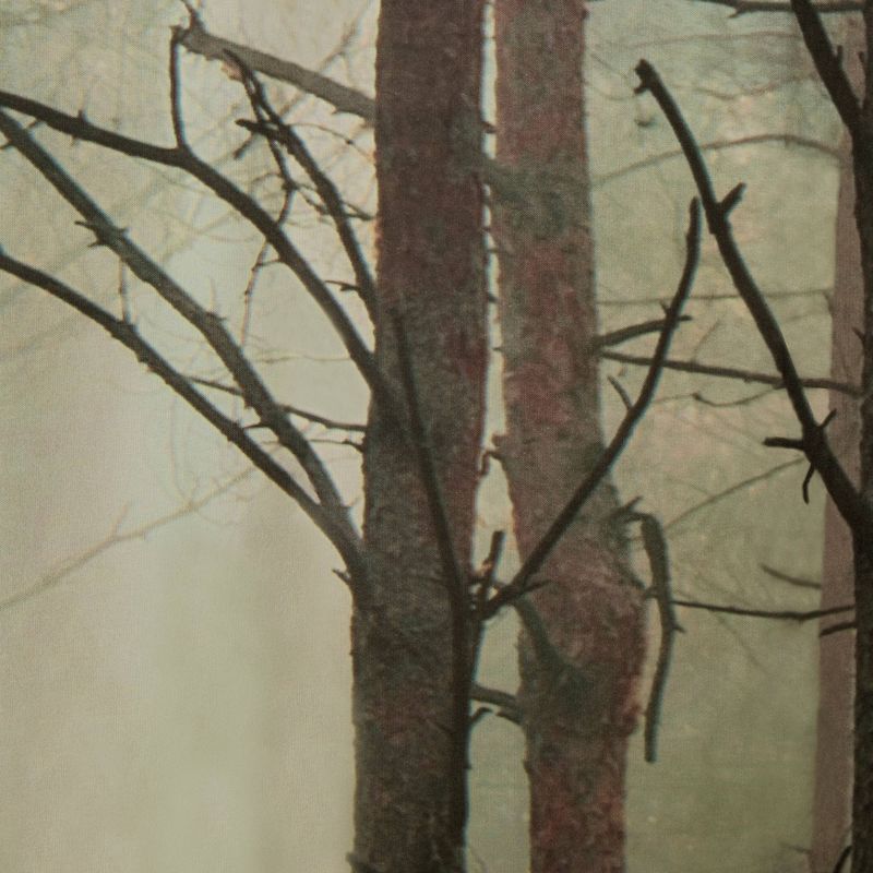 Trailblazer Shower Curtain - Zenna Home