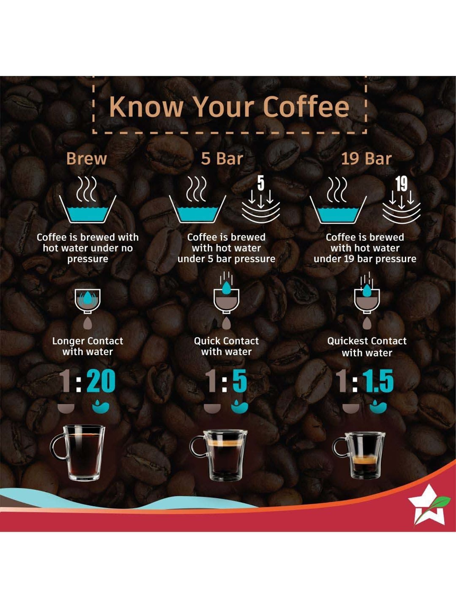 Wonderchef Regalia Capsule Coffee Machine with Frother (1400W, Black)