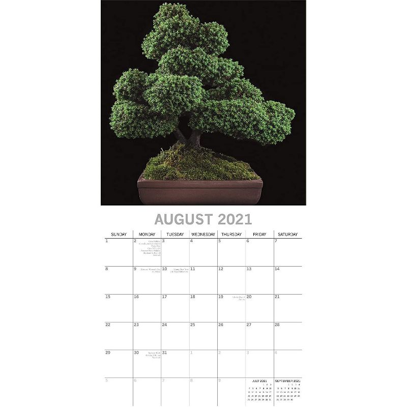 Sellers Publishing, 2021 Outlander 16-Month Wall Calendar