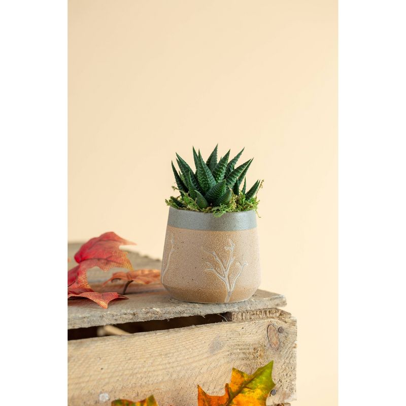 LiveTrends Tree Limbs - 2pk